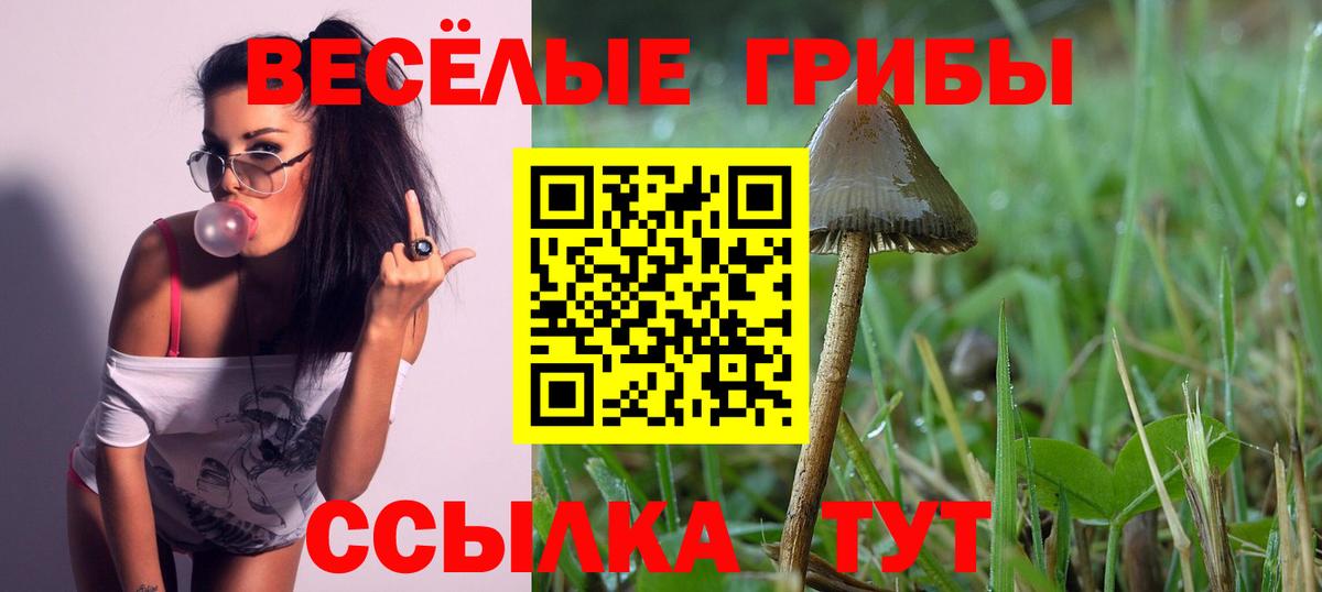 Бугуруслан  купить наркоту  Вход с VPN  Псилоцибиновые грибы мухоморы 