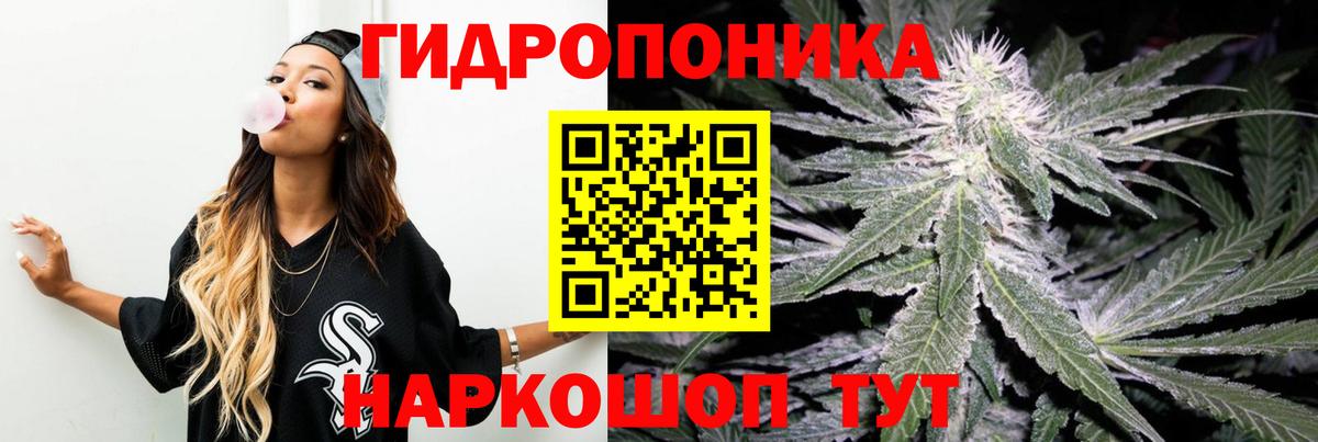 Каннабис Bruce Banner  Бошки Шишки план  Вход с VPN  Бугуруслан  Бошки марихуана план 